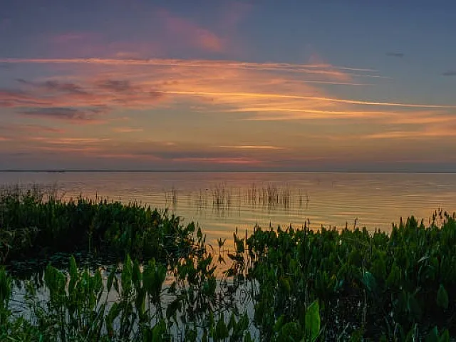 Lake Apopka
