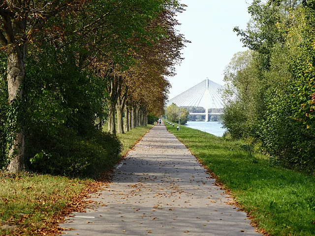 Scenic riverside pathway lined with vibrant trees, leading to a modern suspension bridge in the distance.