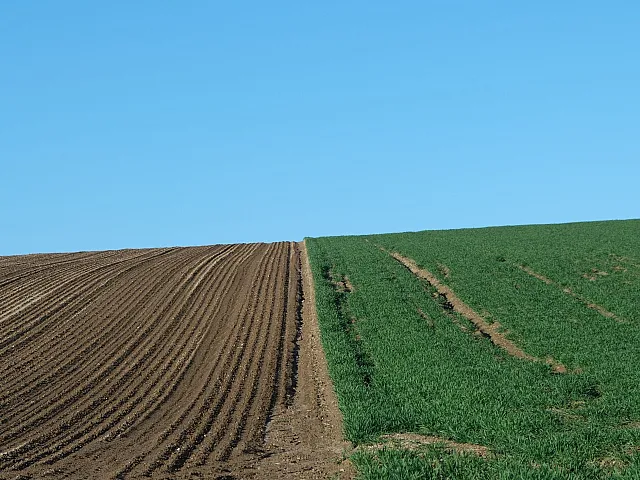 Beautifully cultivated farmland showcasing a perfect divide between tilled soil and lush green crops under a clear blue sky.