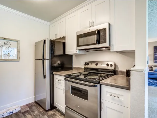 Image of Stainless Steel Appliances for Avana San Jose