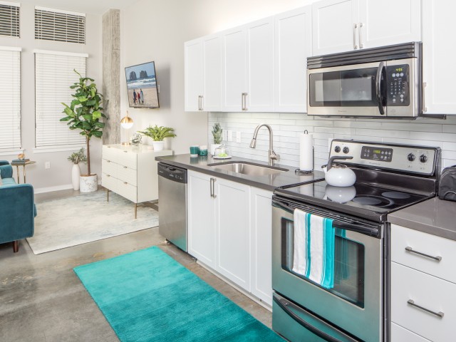 Stainless Steel Appliances