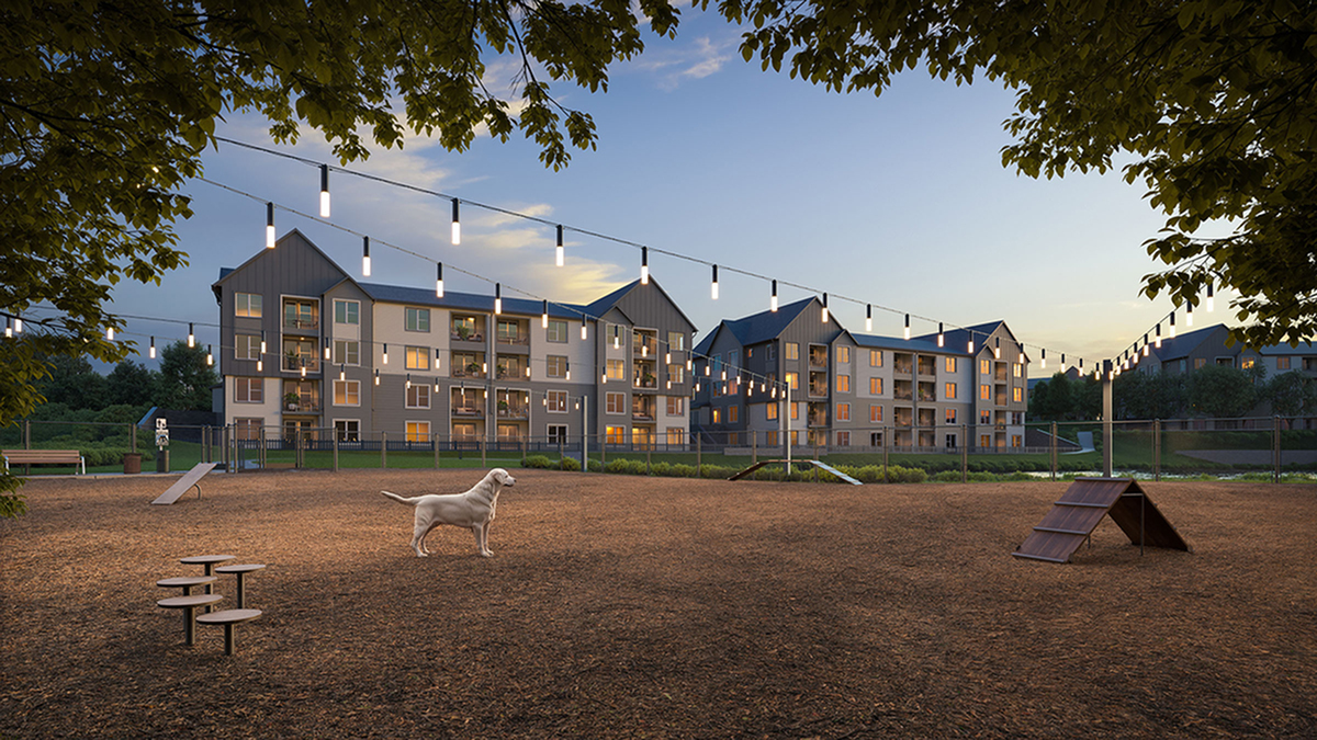dog park rendering