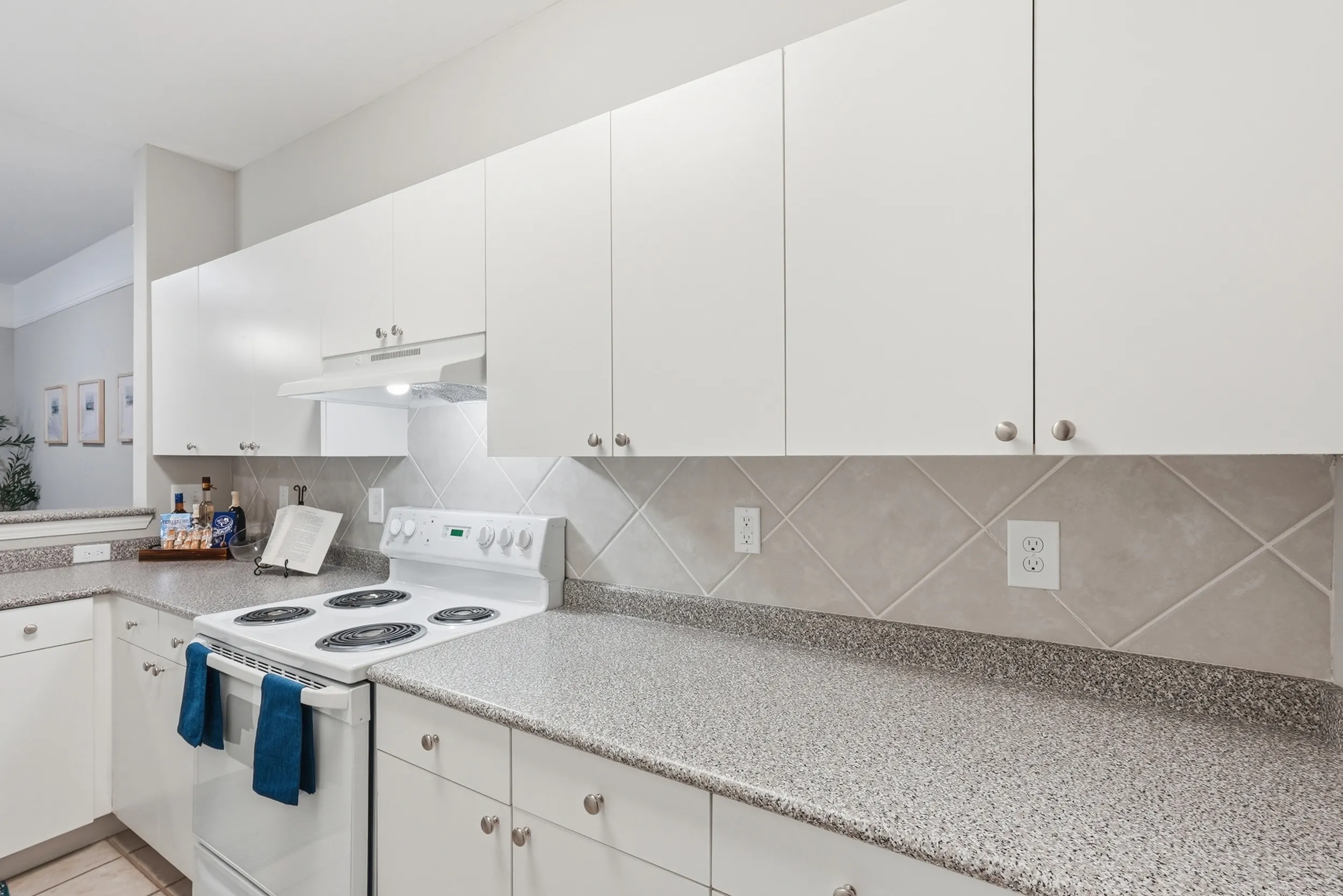 Modern kitchen with elegant white cabinetry, sleek countertops, and a clean electric stove, perfect for culinary enthusiasts.