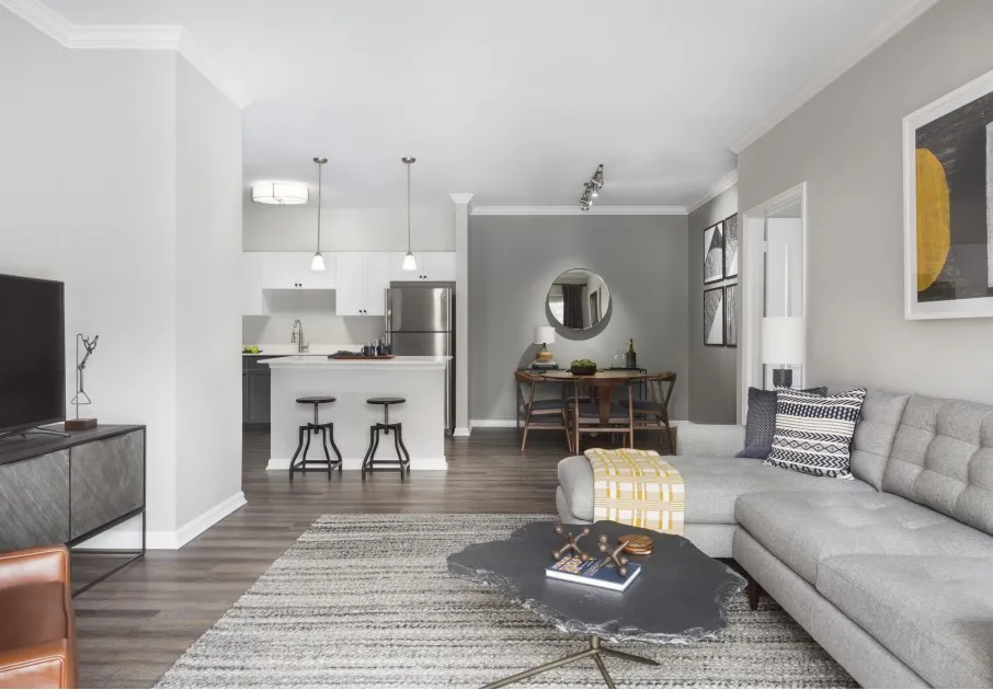Living room and kitchen area