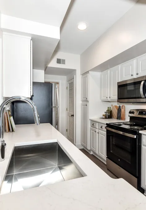 Platinum renovated kitchen
