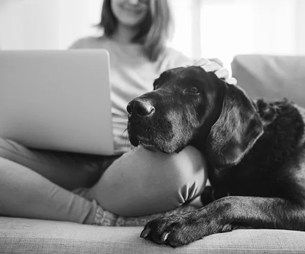 A dog sitting with someone on the couch of one of our pet friendly St Petersburg apartments for rent.