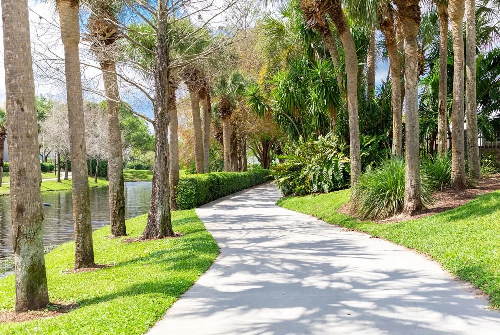 Outdoor paved path lined with palm trees, running along the river at apartments for rent in West Palm Beach, FL.