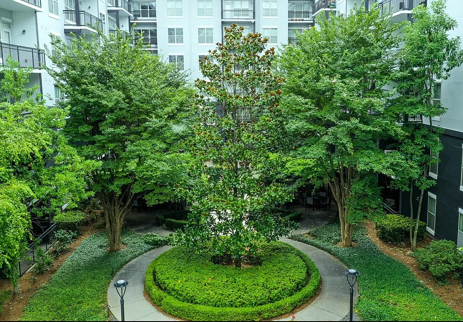 Courtyard Area
