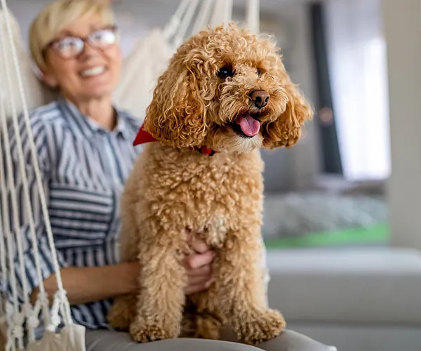 person with dog