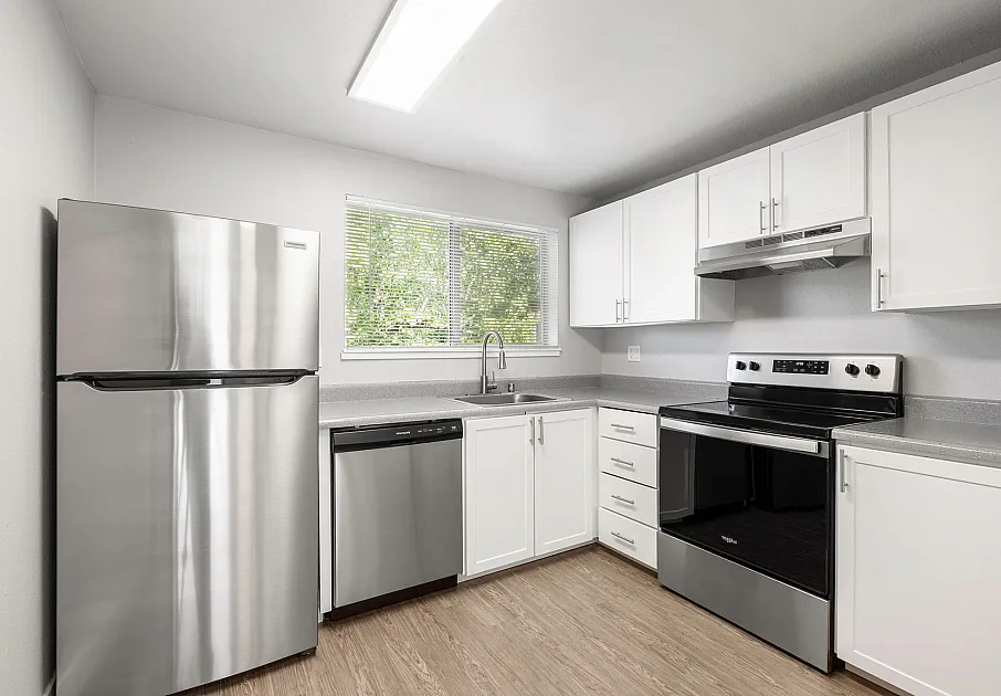 Renovated Kitchen