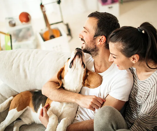 people with dog laughing
