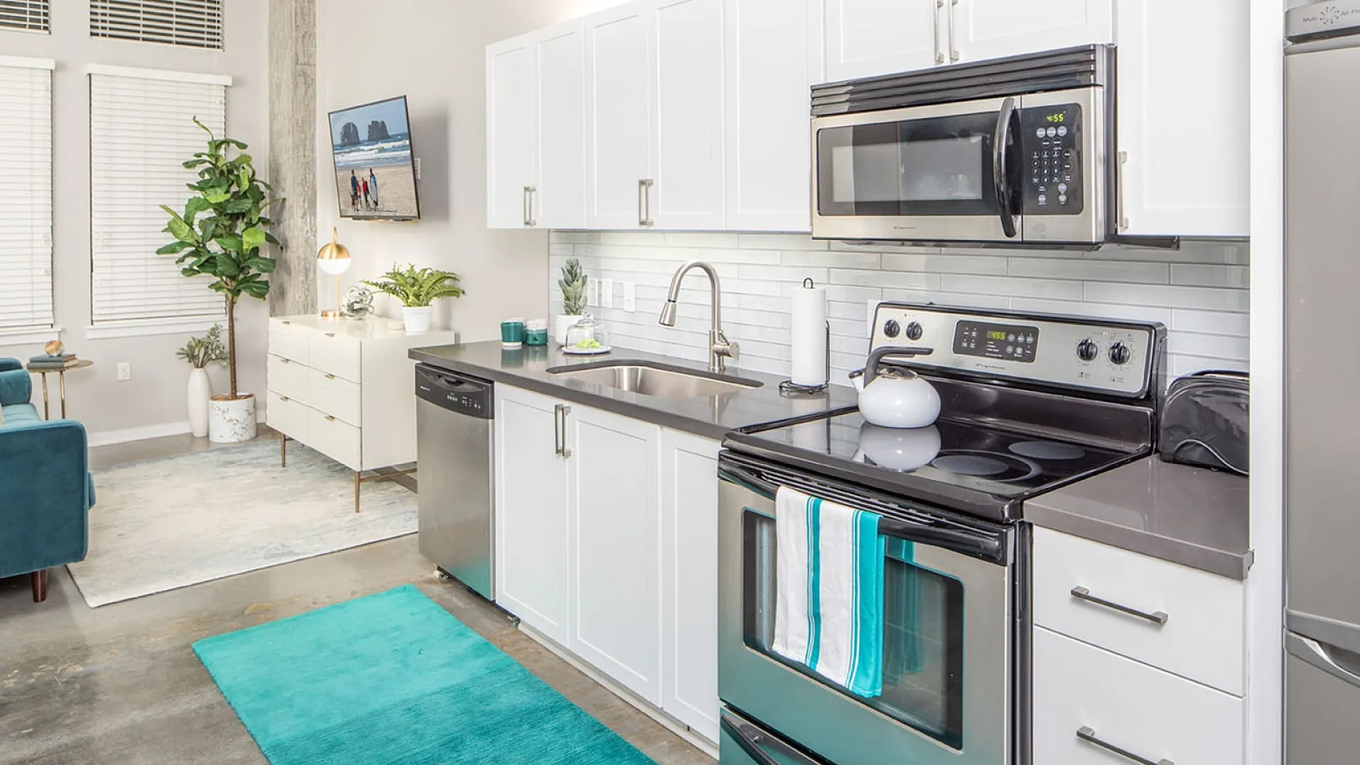 Contemporary kitchen with sleek stainless steel appliances, crisp white cabinetry, and a vibrant turquoise rug, seamlessly extending into a cozy living area adorned with lush greenery and modern decor.