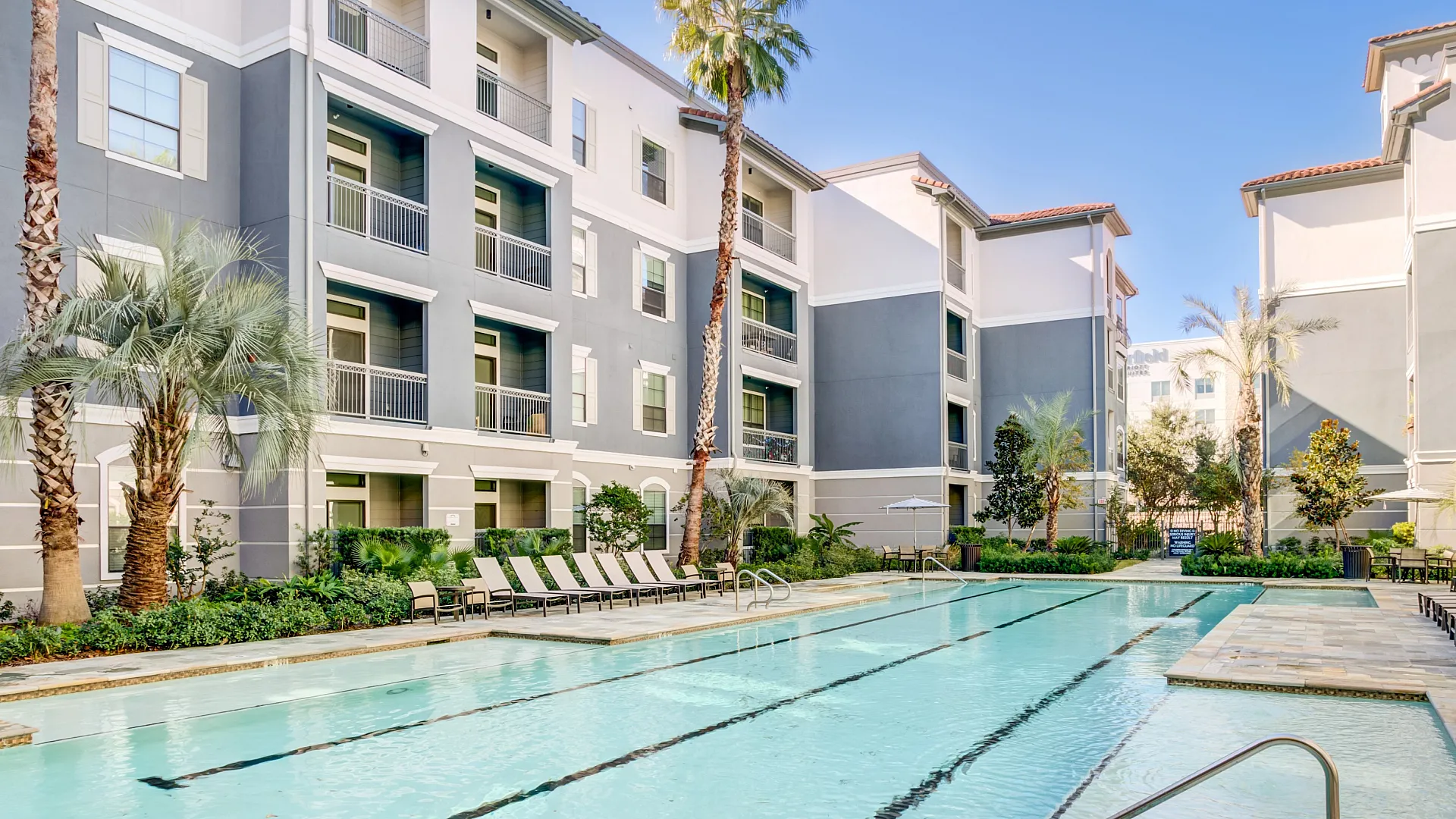 Luxurious apartment complex with a sun-drenched swimming pool, surrounded by lush palm trees and modern architecture.