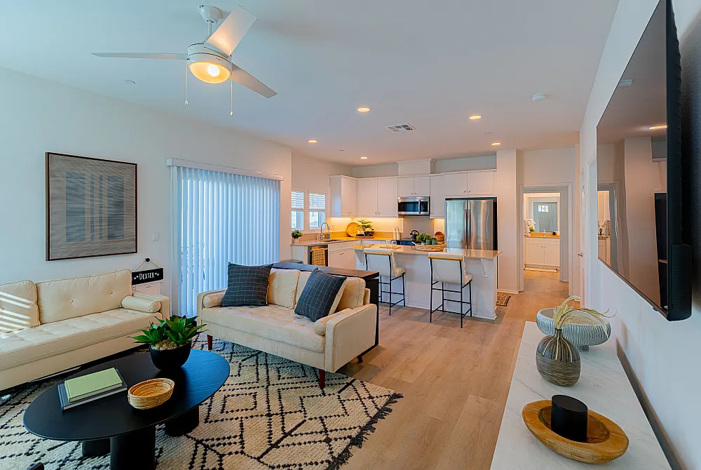 Modern open-plan living area with elegant kitchen, cozy seating, and stylish decor.