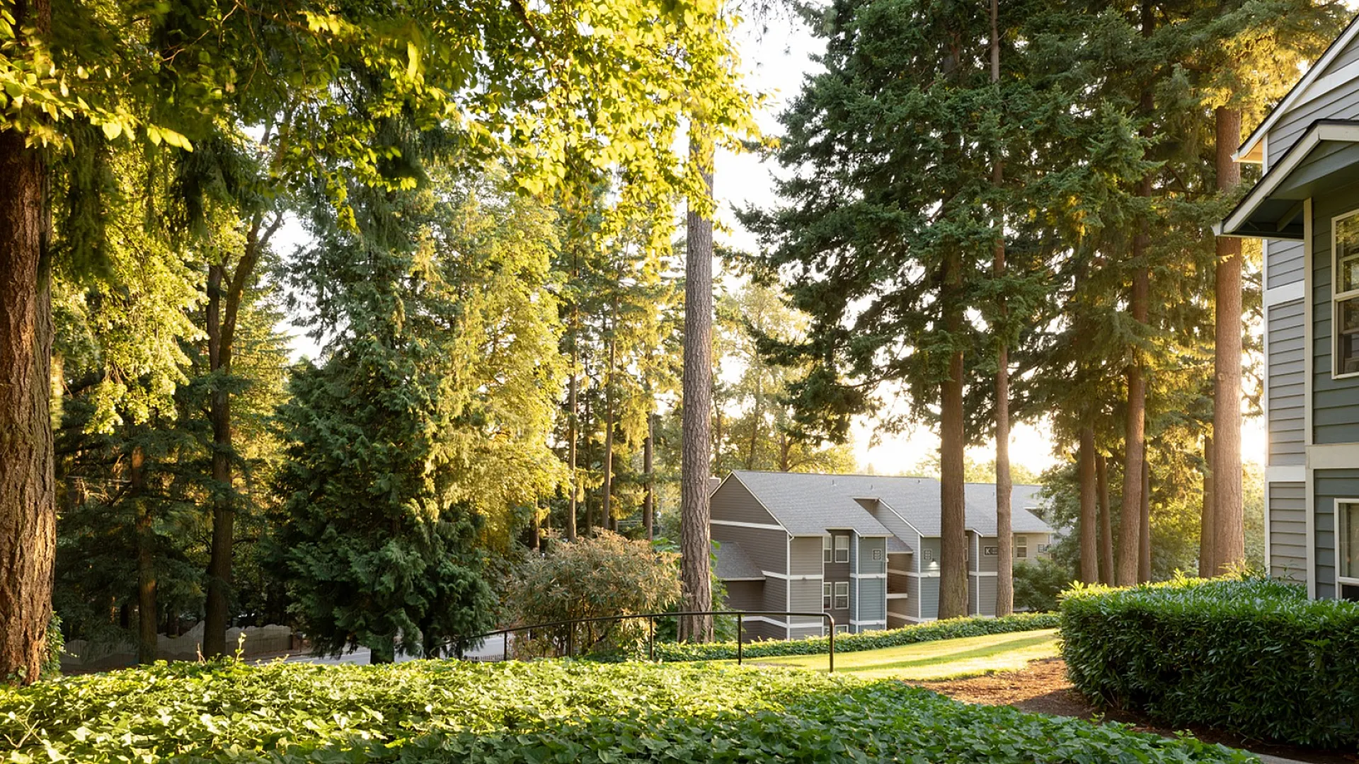 Scenic apartment view surrounded by lush, towering trees and vibrant greenery, offering a tranquil and picturesque living environment.