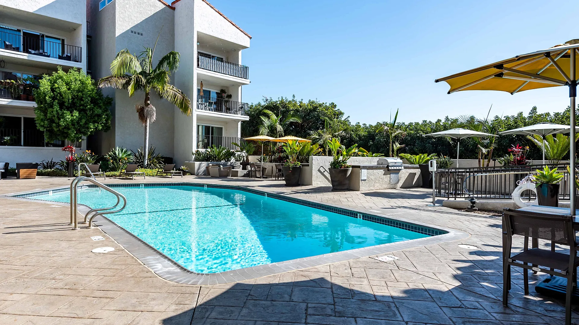 Inviting apartment complex with scenic pool area, vibrant landscaping, and sunlit lounging spaces.