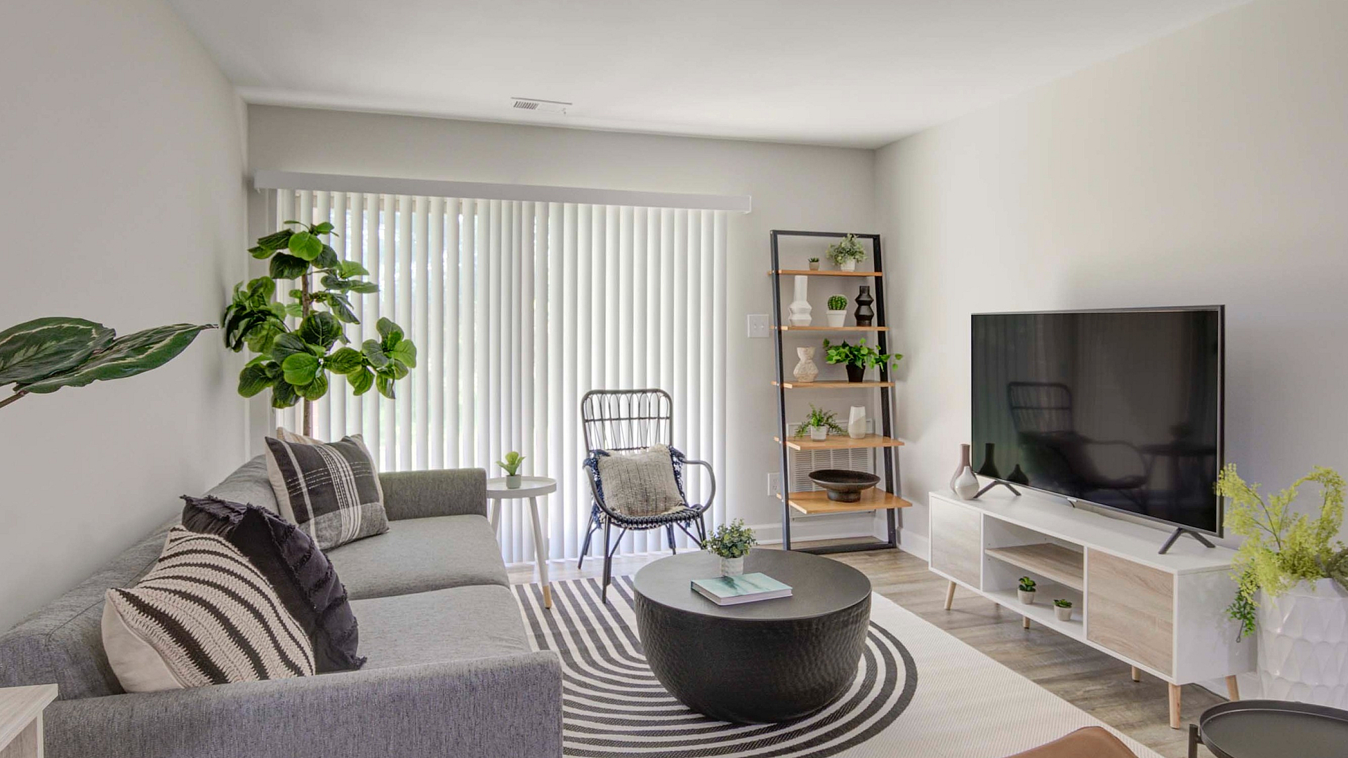 Bright, contemporary living room featuring a cozy gray sofa, stylish coffee table, large TV, and lush indoor plants.
