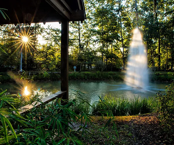 Serene view from a covered patio overlooking a tranquil pond with a dynamic fountain surrounded by lush greenery and sunlit forest.