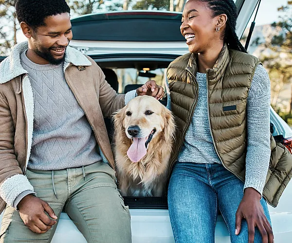 Joyful couple enjoying a sunny day outdoors with their happy golden retriever in the back of a car.