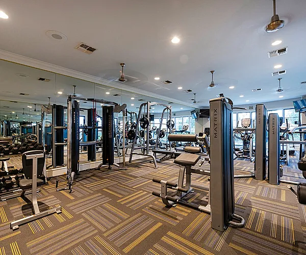 Modern fitness center with state-of-the-art gym equipment and stylish interior lighting.
