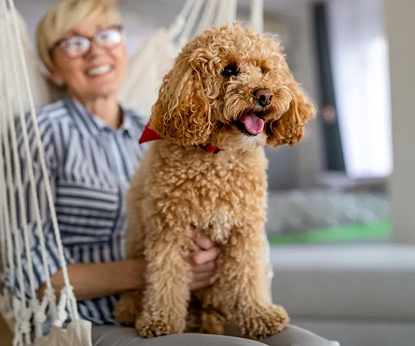 Cozy apartment interior with a cheerful woman and her fluffy dog in a hammock chair, exuding warmth and comfort.