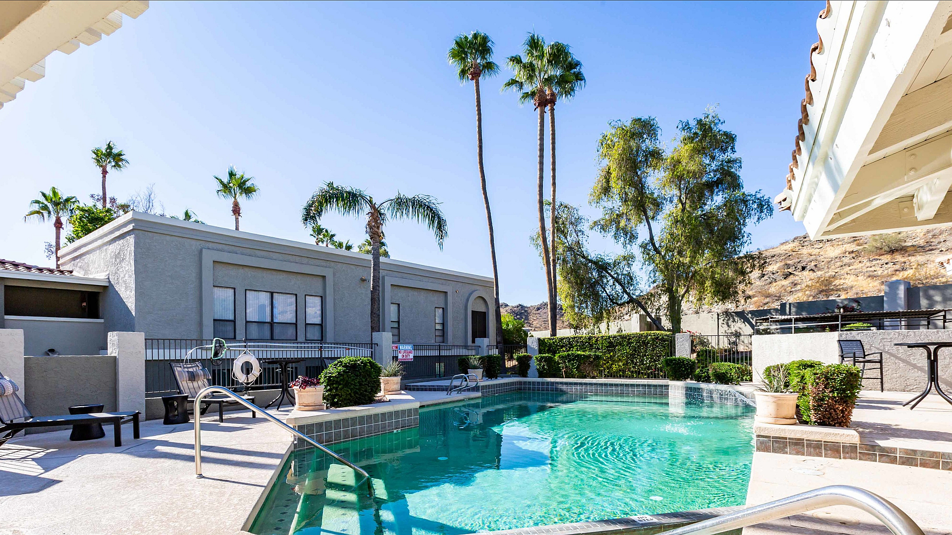 Luxurious apartment pool area featuring crystal-clear water, stylish lounge chairs, and vibrant palm trees under a bright blue sky.