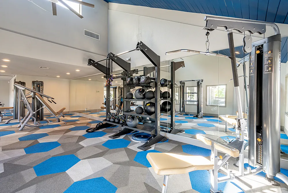 Modern fitness center with state-of-the-art gym equipment, vibrant geometric flooring, and ample natural light.