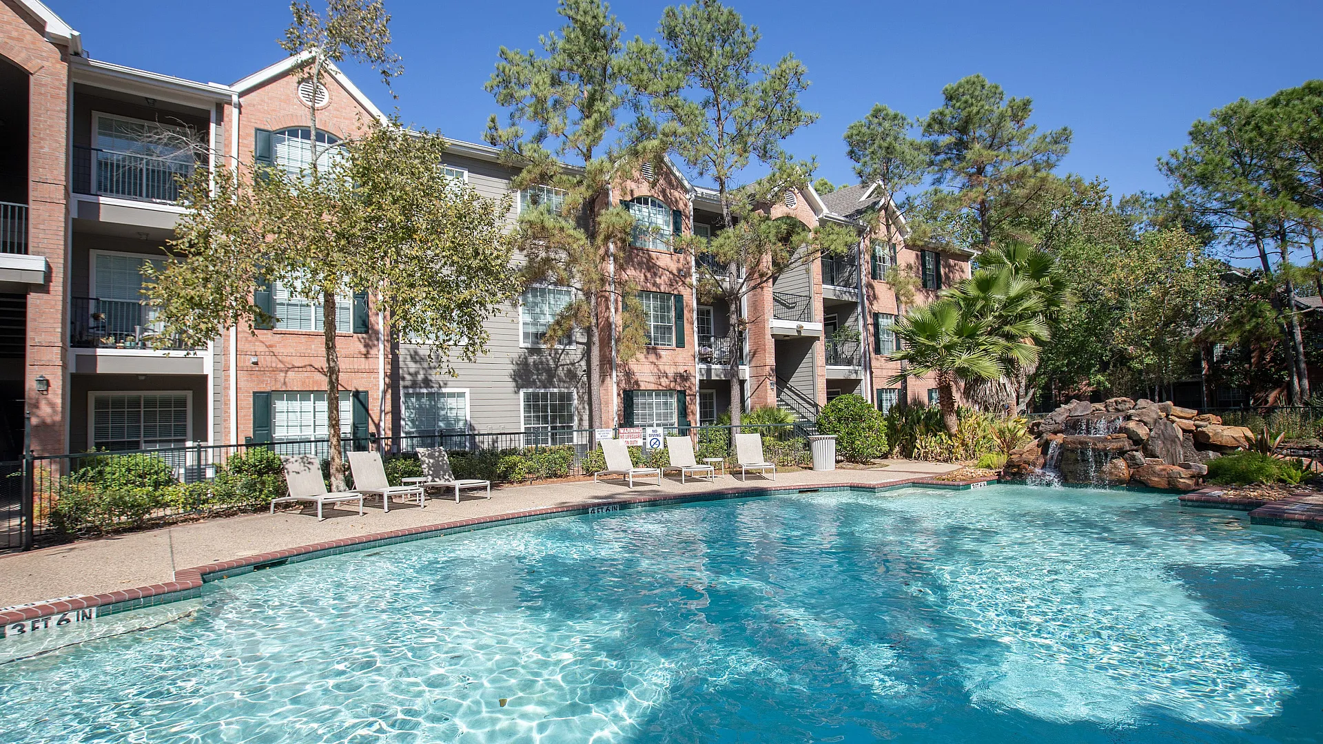 clear blue pool with large trees