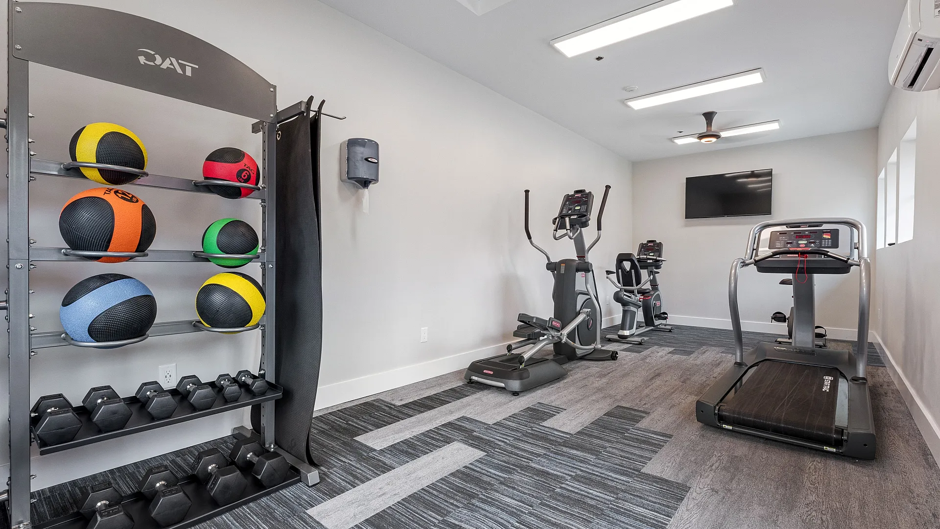 Modern apartment gym with treadmill, elliptical machines, and colorful exercise balls for an invigorating workout experience.