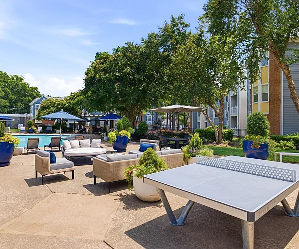 Inviting outdoor lounge area with stylish seating, lush greenery, and a refreshing pool, perfect for relaxation and socializing.
