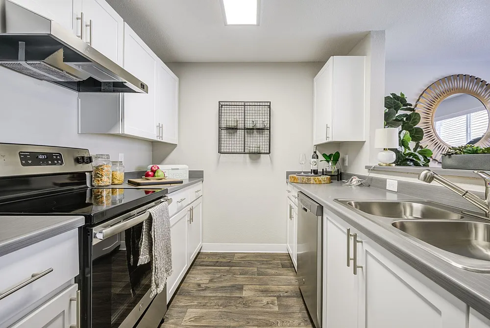 Contemporary kitchen with sleek white cabinetry, stainless steel appliances, and stylish decor accents.