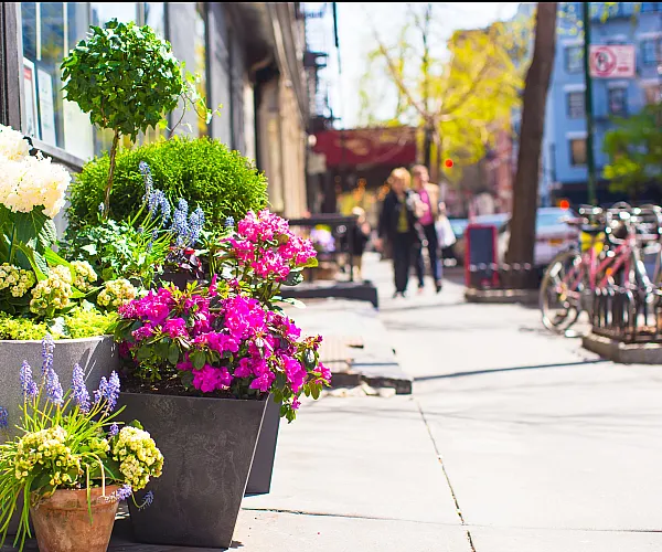 Charming urban sidewalk adorned with vibrant flower arrangements in large pots, creating a lively and colorful street ambiance.