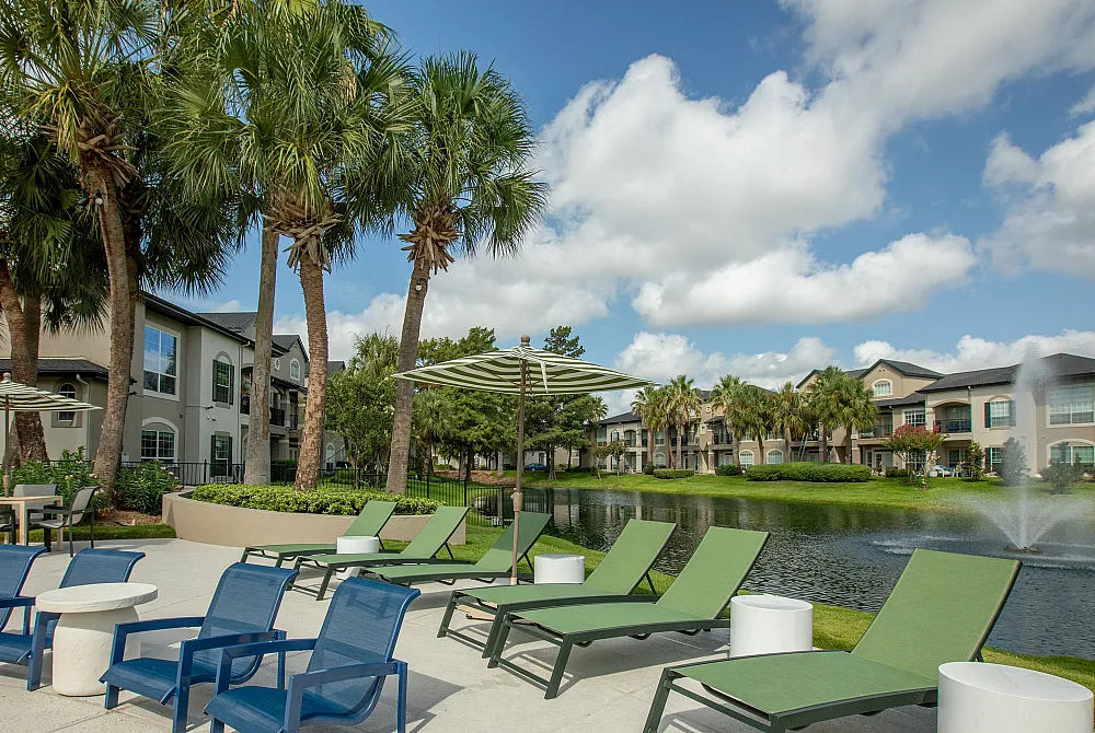 Beautiful pond with lucious palm trees