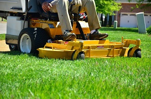 Springtime means focus on cleanup, landscaping and maintenance-image