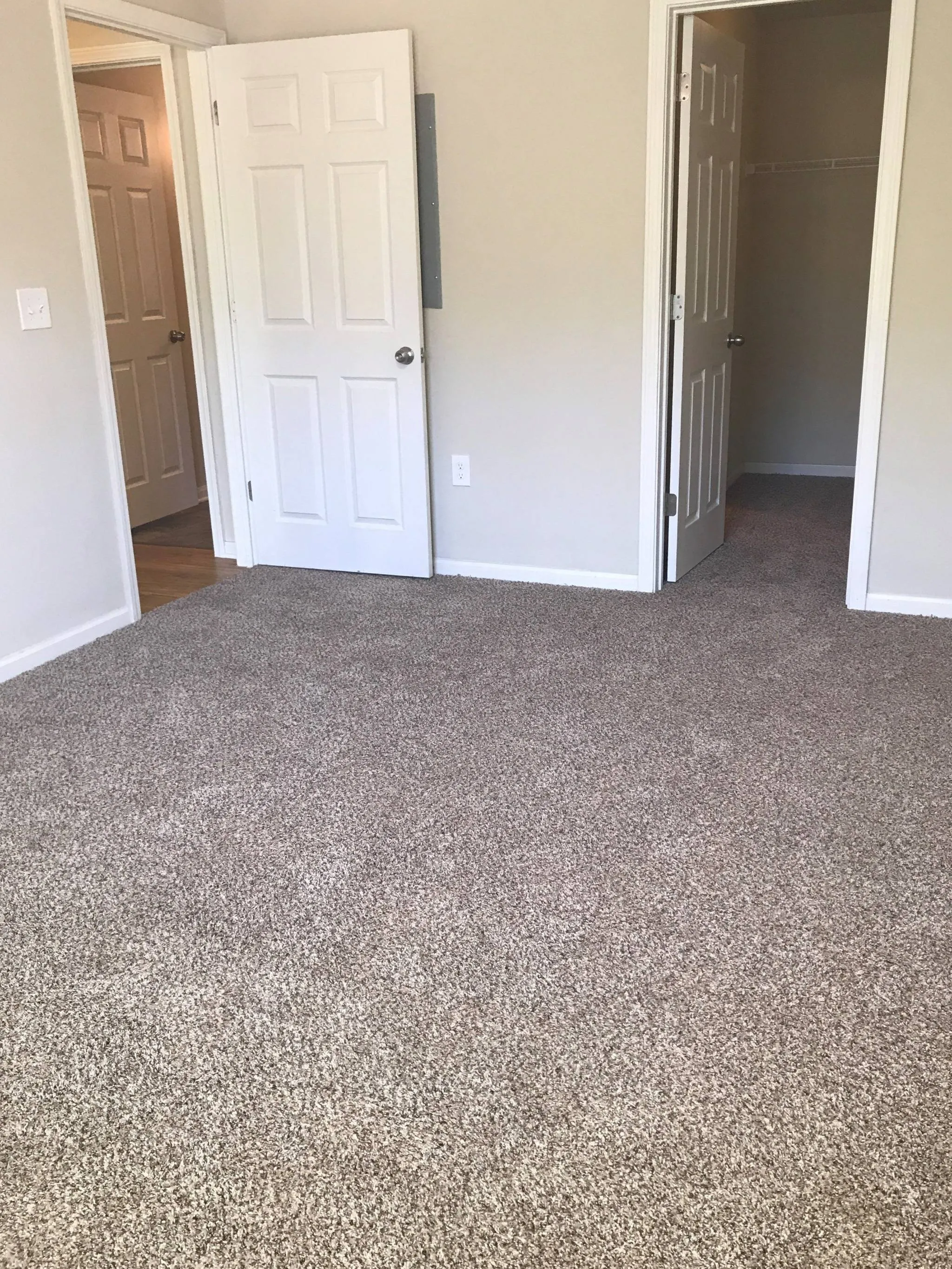 Carpet