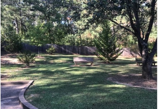 bench in park