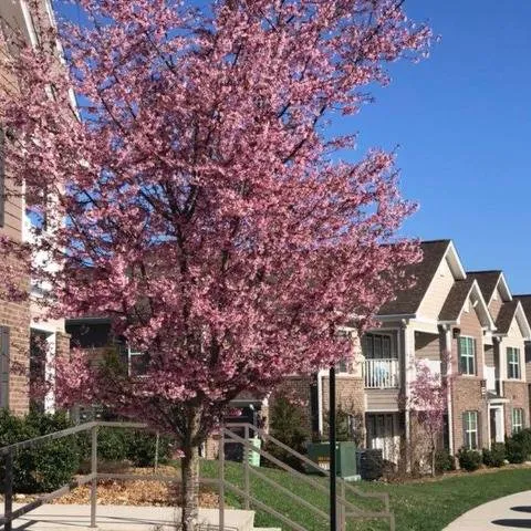 Stewart Place