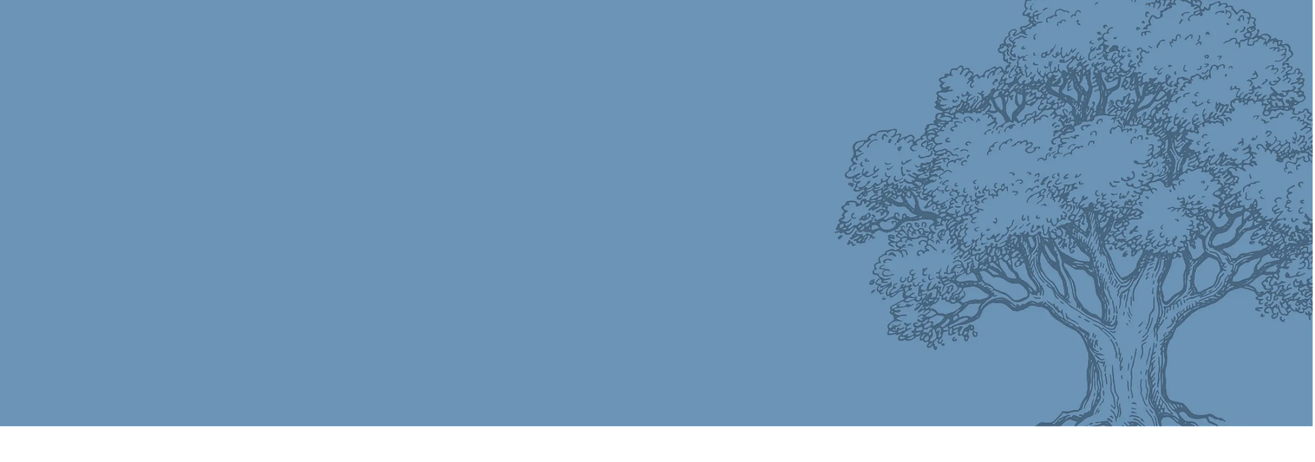 Oak Tree