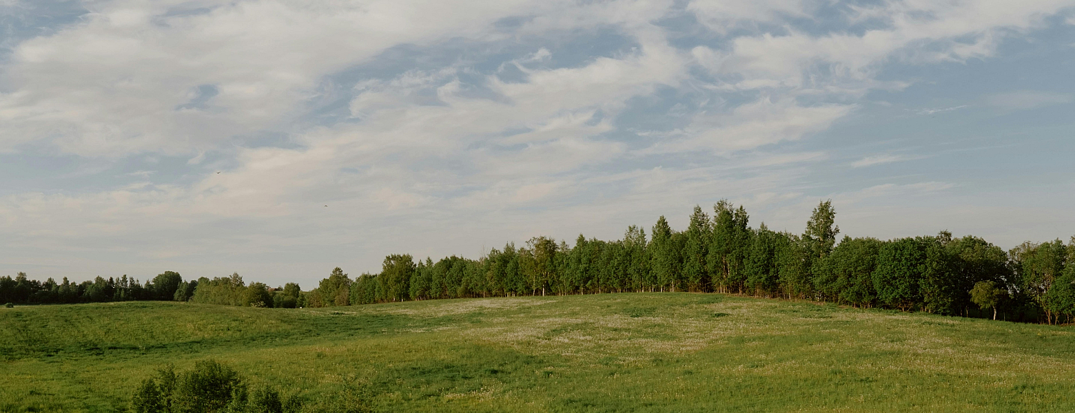 Field