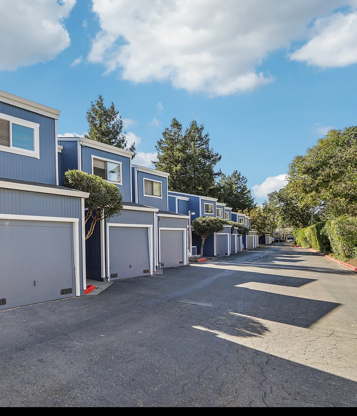 Walkham Townhomes Grounds