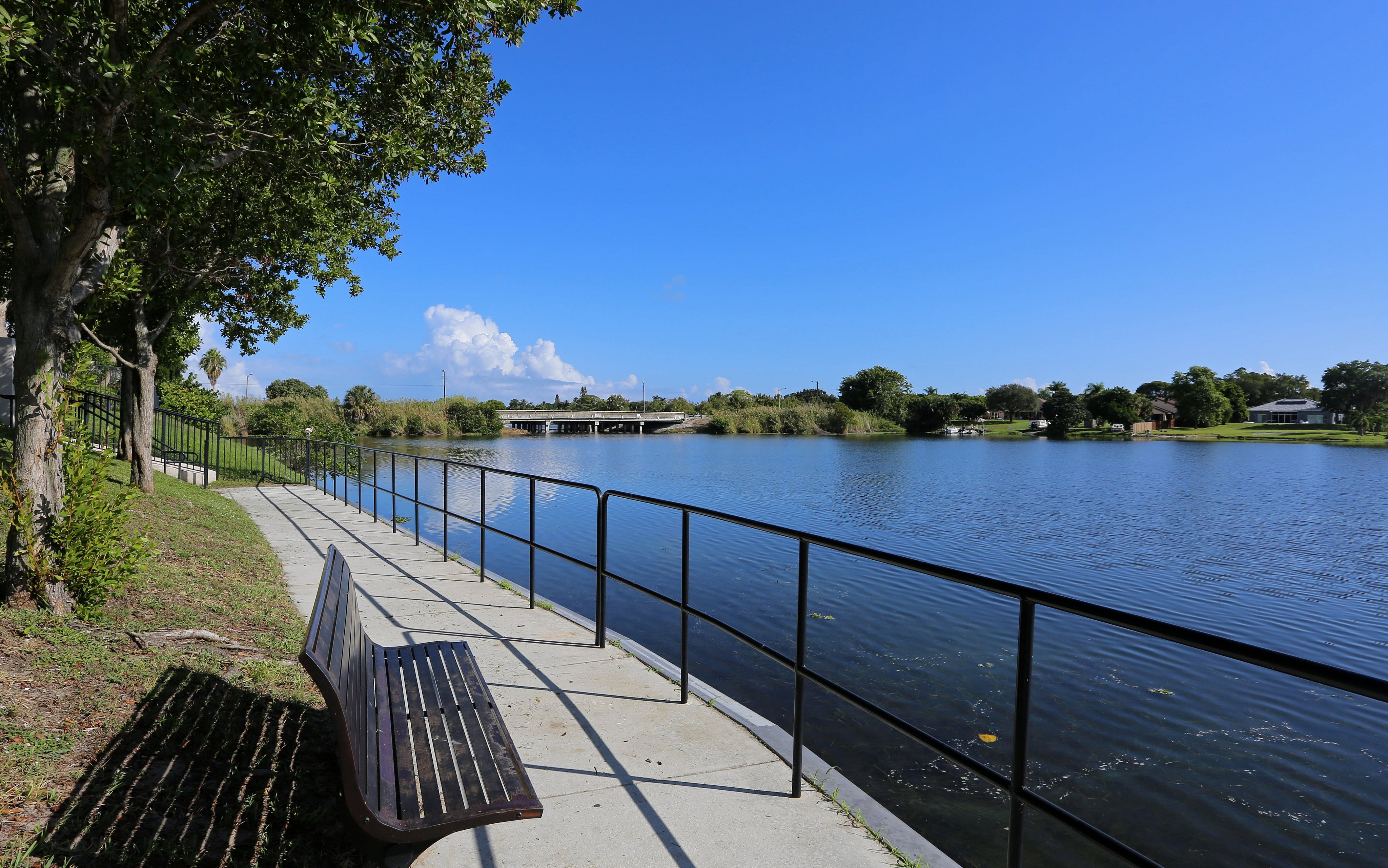 Curved lakeside path with black railing, wooden benches, and tree-lined shade overlooking calm water.