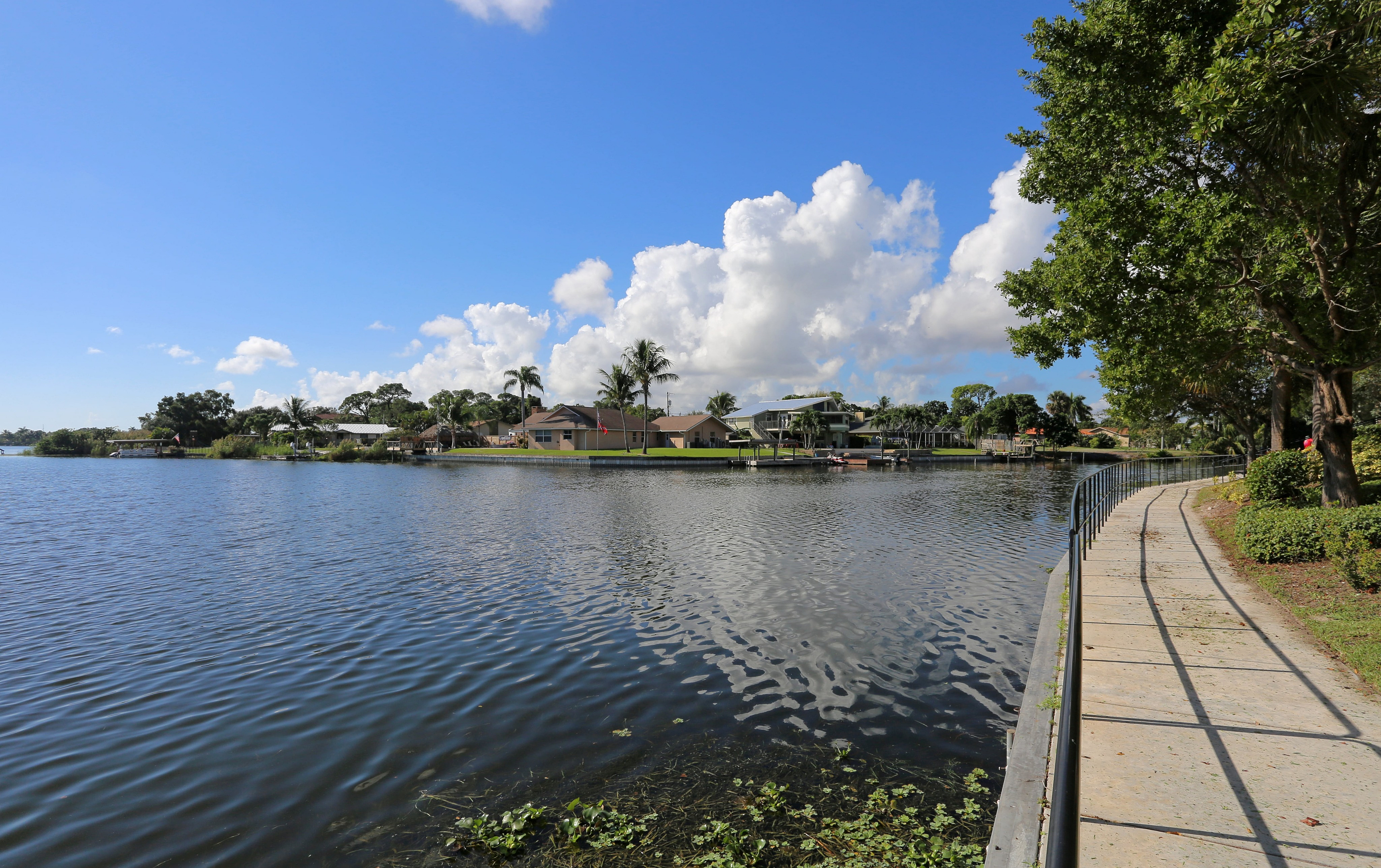 Curving lakeside path with black railing, tree shade, and expansive water views under a blue sky.