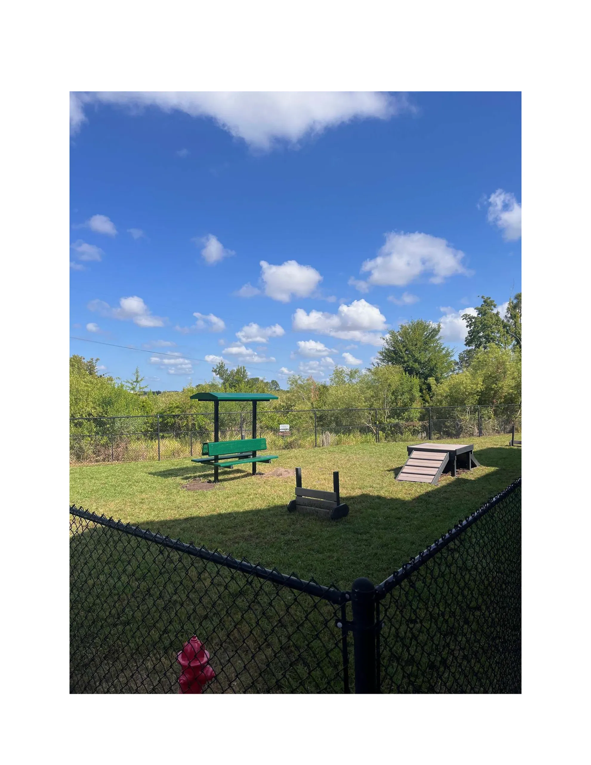 Charming outdoor play area in a lush green park featuring agility ramps, benches, and open space under a beautiful blue sky.