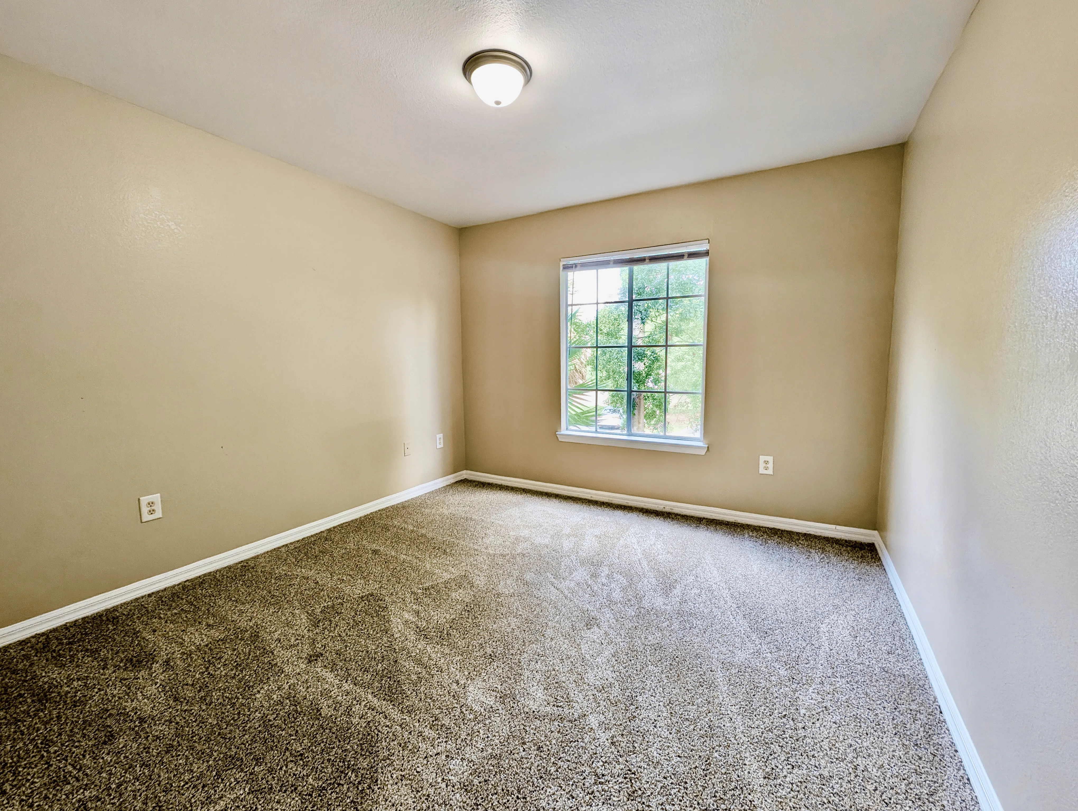 Bright and inviting bedroom with plush carpeting and a large window showcasing a peaceful greenery view.