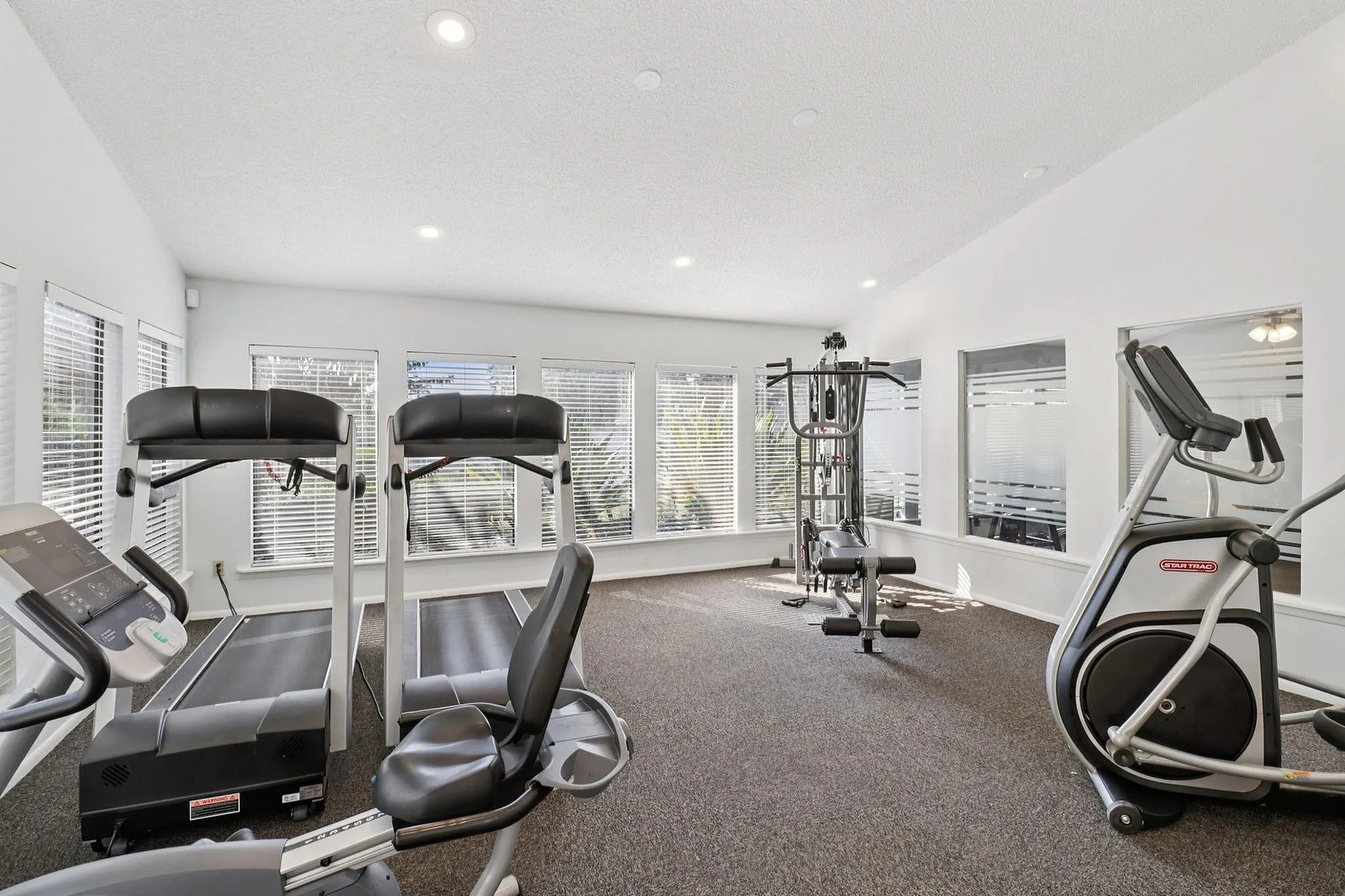 Bright and inviting gym with modern cardio and strength training equipment, featuring large windows for natural light.