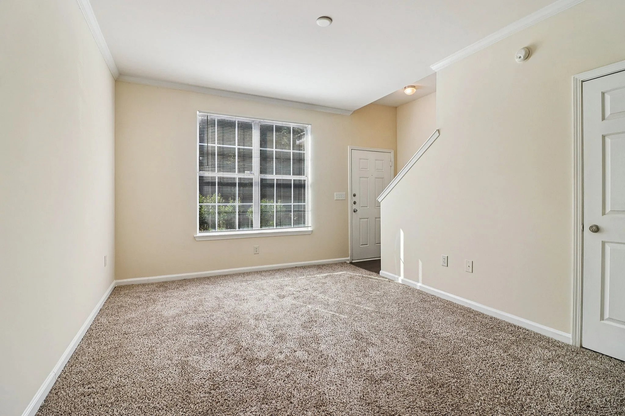 Bright and inviting living room with plush carpeting, large window for natural light, and a modern entryway design.