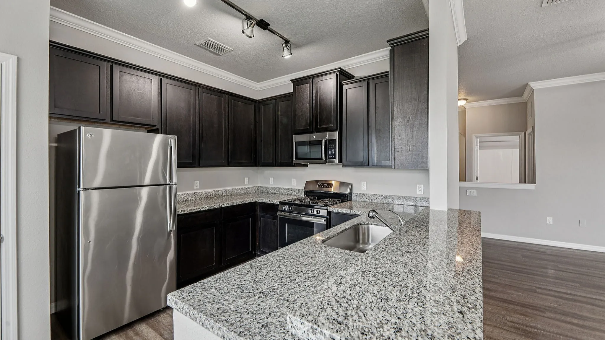Modern kitchen with sleek granite countertops, stainless steel appliances, and dark wood cabinetry, perfect for culinary enthusiasts.