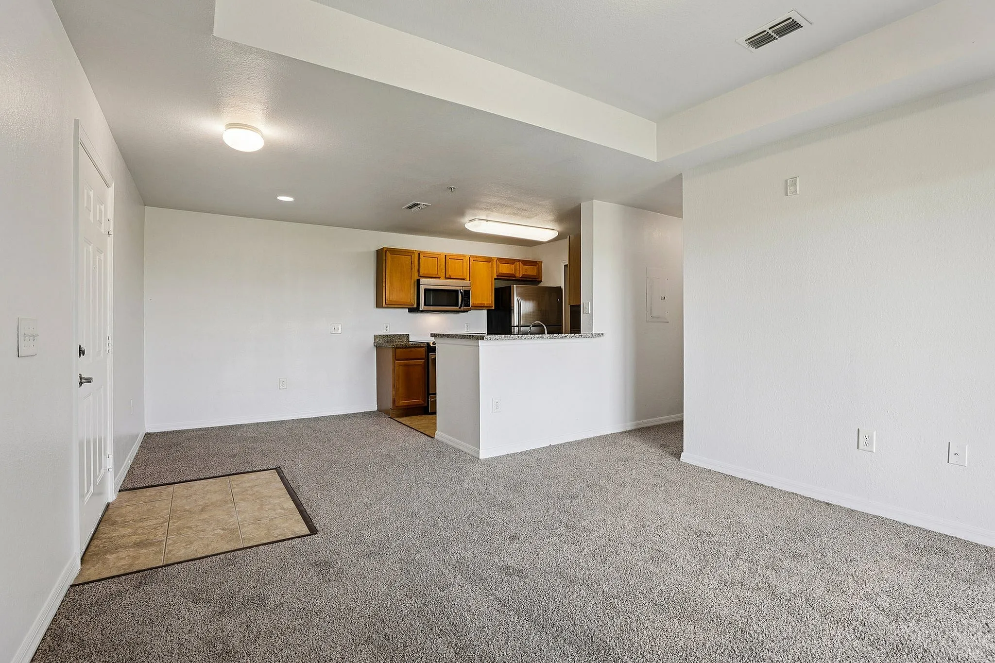 Modern open-concept living area with plush carpet and a sleek kitchen featuring wooden cabinetry and granite countertops.