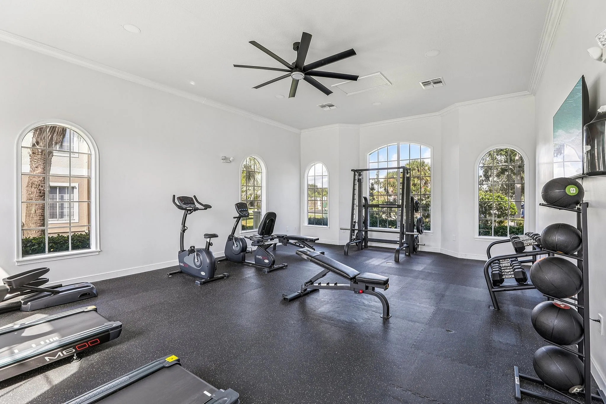 Bright and airy gym space featuring modern fitness equipment, large windows, and high ceilings.