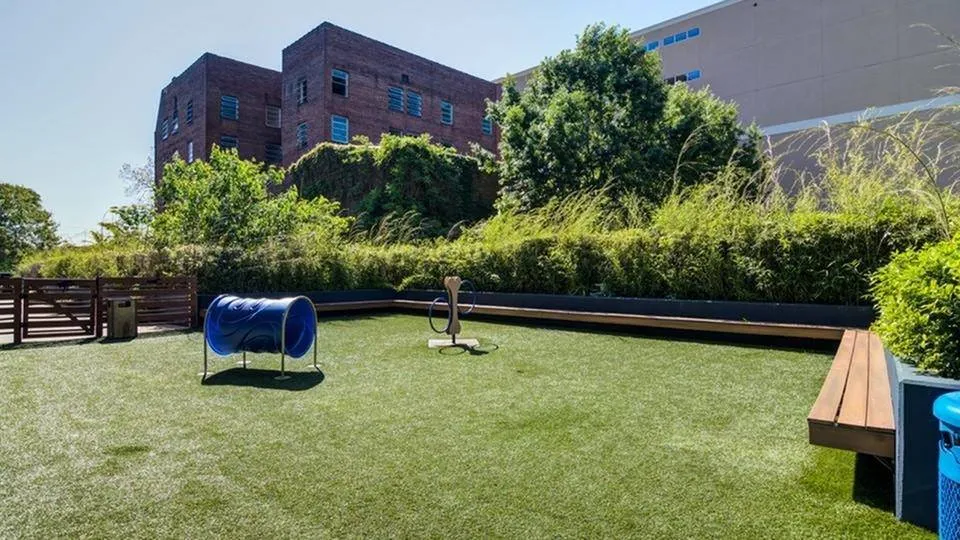 sunny day of bark park with fake grass, small agility course and bench on deck level near pool